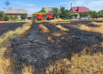 Жителя Тернопільщини оштрафували на декілька тисяч гривень за спалення сухої трави