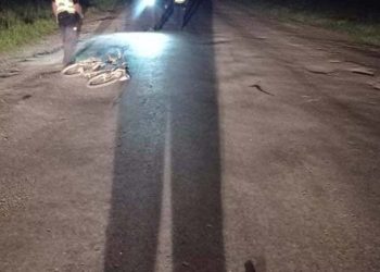 Трагедія на дорозі: 63-річний чоловік загинув після падіння з велосипеда