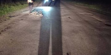 Трагедія на дорозі: 63-річний чоловік загинув після падіння з велосипеда