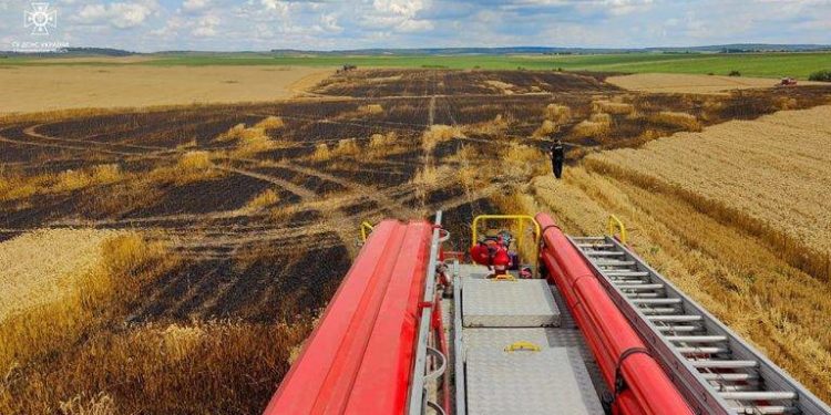 В громаді на Тернопільщині загорілося поле пшениці площею 100 гектарів