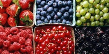 Скільки коштують ягоди на тернопільському ринку