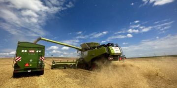 «Контінентал» розпочав збір урожаю ранніх зернових