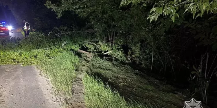 У Тернополі водій іномарки “Mazda” двічі за ніч порушив правила ПДР