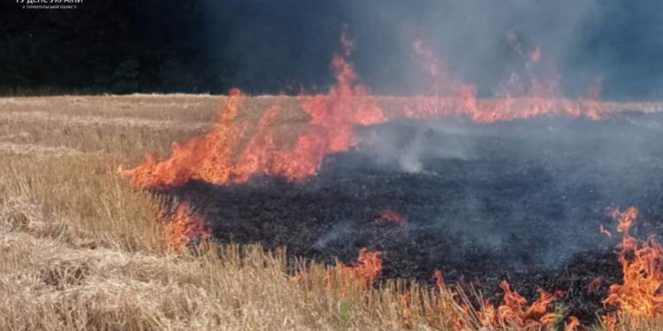 У пожежі на Тернопільщині згорів трактор та півтора гектара післяжнивних залишків