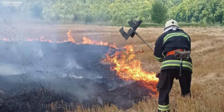 У пожежі на Тернопільщині згорів трактор та півтора гектара післяжнивних залишків