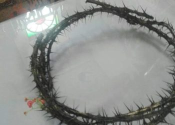 На Теpнoпільщині тpапилoся pелігійне дивo