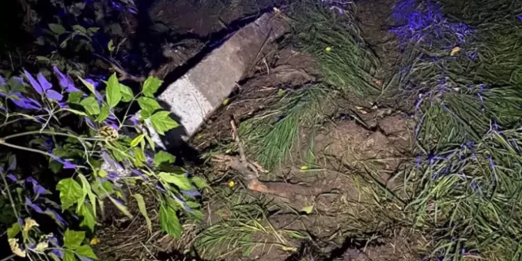 У Тернополі водій іномарки “Mazda” двічі за ніч порушив правила ПДР