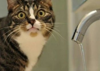 Завтра цілий мікрорайон Тернополя залишиться без водопостачання