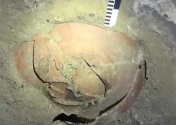 Археологи Тернопільщини відкопали артефакт, якому майже 6 тисяч років