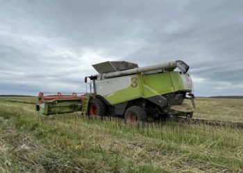 Обмолот ріпаку успішно завершили в Захід-Агро МХП