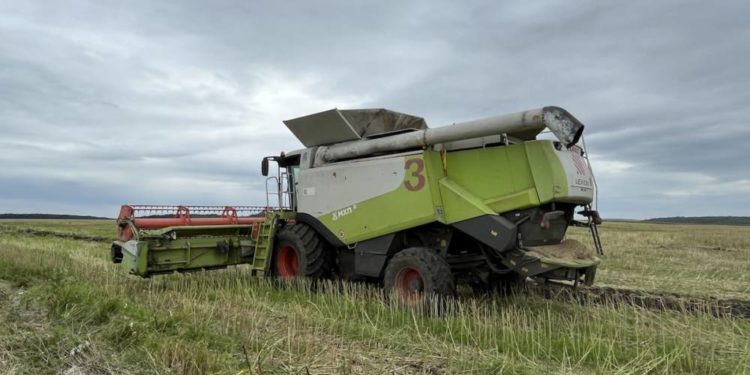 Обмолот ріпаку успішно завершили в Захід-Агро МХП