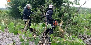 Понад 70 населених пунктів на Тернопільщині залишилися без електропостачання