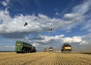 На Тернопільщині наближається до завершення перша хвиля жнив