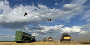 На Тернопільщині наближається до завершення перша хвиля жнив