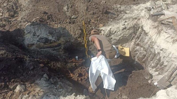 У Тернополі ексгумували 230 тіл радянських солдатів