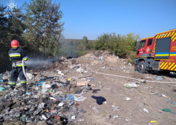 Через масштабну пожежу на Тернопільщині ледь не згоріло 2 гектари лісу