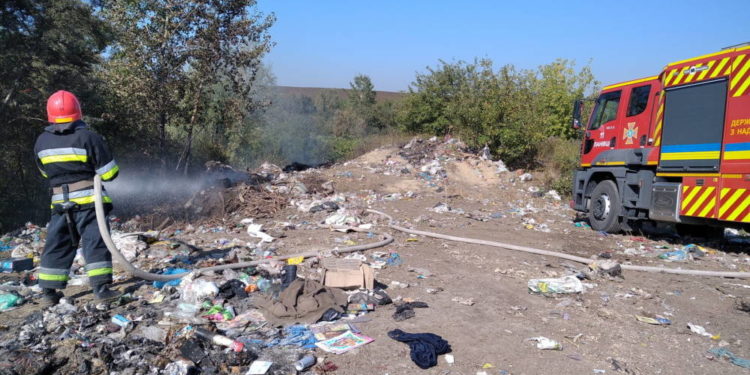 Через масштабну пожежу на Тернопільщині ледь не згоріло 2 гектари лісу