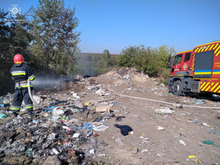 Через масштабну пожежу на Тернопільщині ледь не згоріло 2 гектари лісу