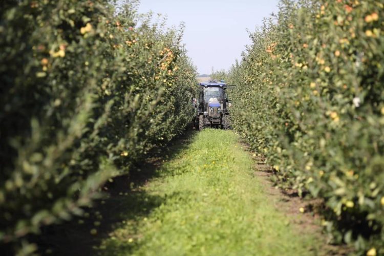 Представники Латвійської Республіки ознайомились з роботою ФГ«Гадз»