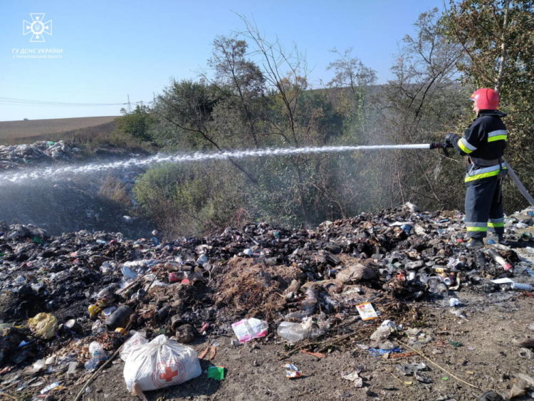 Через масштабну пожежу на Тернопільщині ледь не згоріло 2 гектари лісу