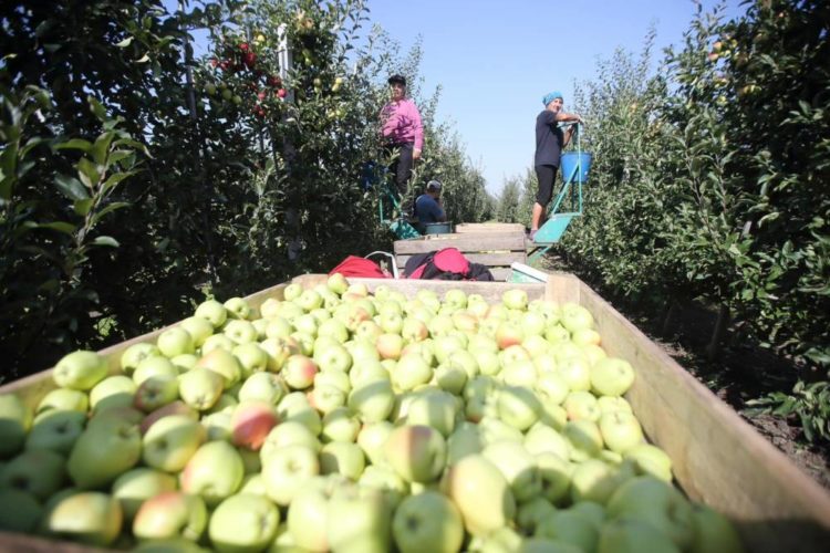 Представники Латвійської Республіки ознайомились з роботою ФГ«Гадз»