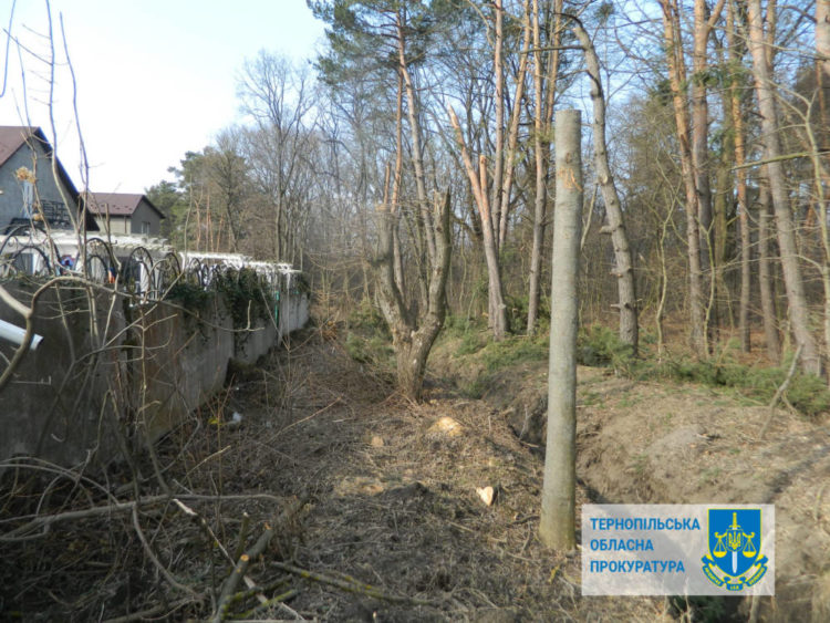 Патрульні Тернопільщини почали масштабні перевірки вантажних автомобілів