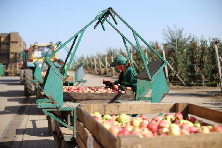 Представники Латвійської Республіки ознайомились з роботою ФГ«Гадз»