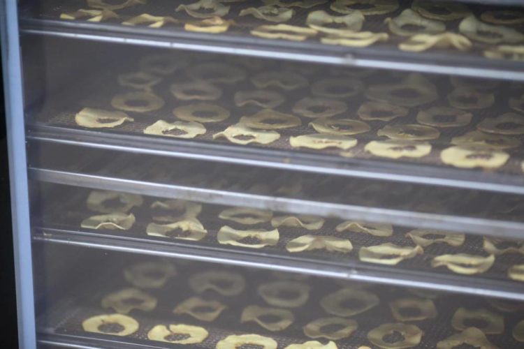 Представники Латвійської Республіки ознайомились з роботою ФГ«Гадз»