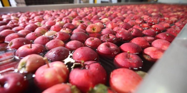 Представники Латвійської Республіки ознайомились з роботою ФГ«Гадз»