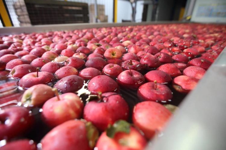 Представники Латвійської Республіки ознайомились з роботою ФГ«Гадз»