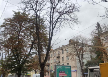 На центральній вулиці Тернополя будуть зрізати багаторічні дерева