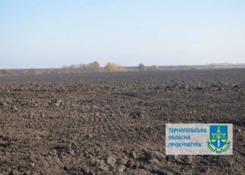 Суд Тернопільщини забрав у жінки майже 3 гектари землі