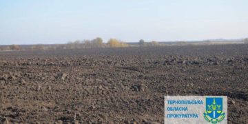 Суд Тернопільщини забрав у жінки майже 3 гектари землі