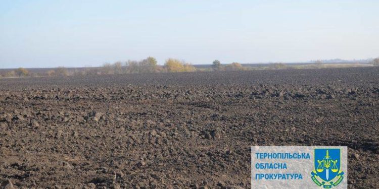 Суд Тернопільщини забрав у жінки майже 3 гектари землі