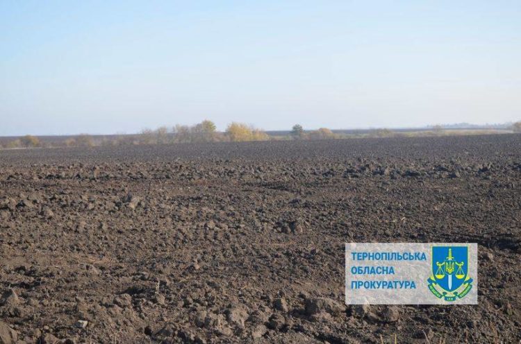 Суд Тернопільщини забрав у жінки майже 3 гектари землі