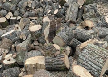 Жителька Тернопільщини втратила понад 10 тисяч гривень купуючи дрова через соцмережі