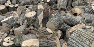 Жителька Тернопільщини втратила понад 10 тисяч гривень купуючи дрова через соцмережі