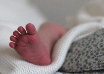 У Чортківському районні знайшли мертву жінку і її новонароджену дитину