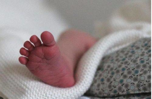 У Чортківському районні знайшли мертву жінку і її новонароджену дитину