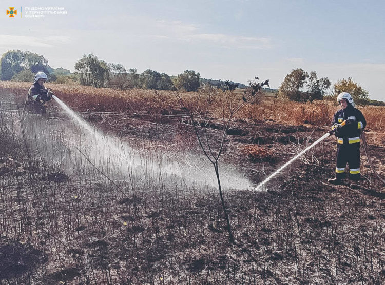 В громаді на Тернопільщині горить півтора гектара торфовищ