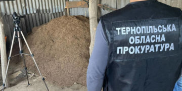 Поліція і СБУ спільно розкрили незаконне виробництво тютюну на Тернопільщині