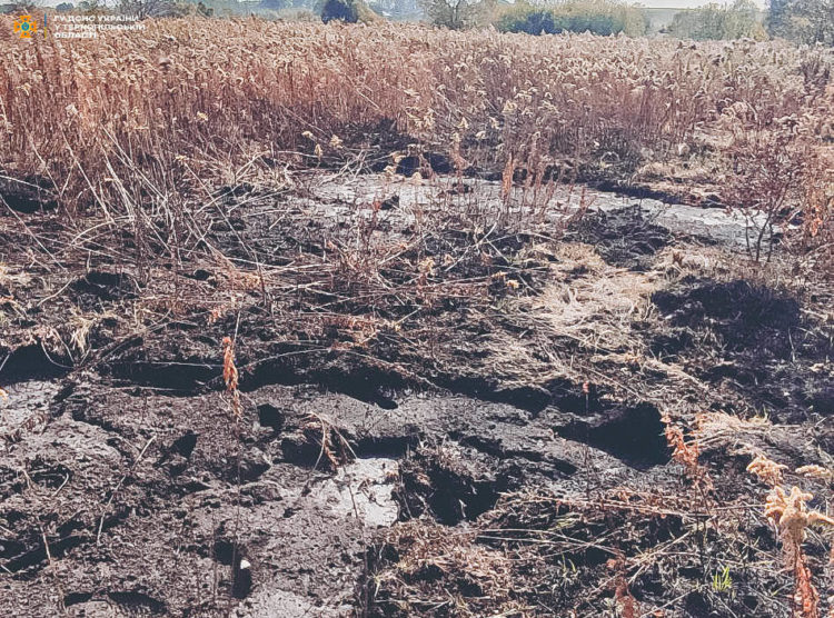 В громаді на Тернопільщині горить півтора гектара торфовищ