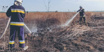 В громаді на Тернопільщині горить півтора гектара торфовищ