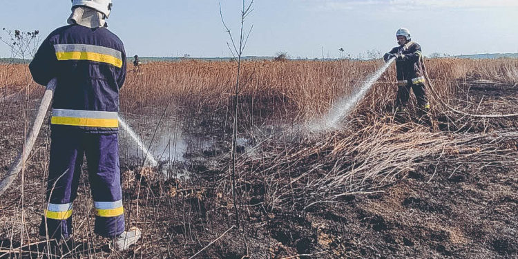 В громаді на Тернопільщині горить півтора гектара торфовищ