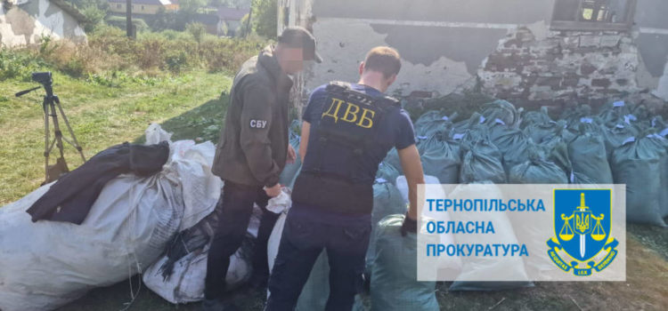 Поліція і СБУ спільно розкрили незаконне виробництво тютюну на Тернопільщині