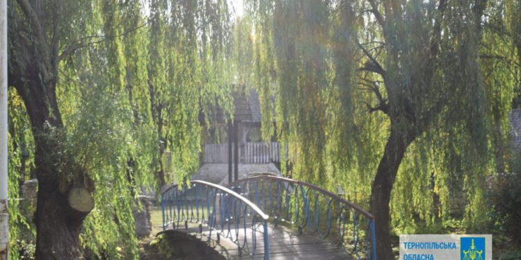 Тернопільське комунальне підприємство оштрафували на пів мільйона гривень за забруднення власної території