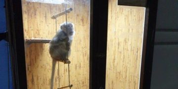 Правоохоронці склали адмінпротокол на організаторів виставки “Підводний світ” у Тернополі 