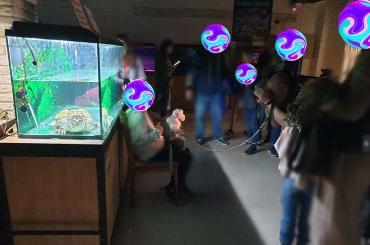 Правоохоронці склали адмінпротокол на організаторів виставки “Підводний світ” у Тернополі
