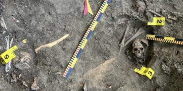 В селі на Тернопільщині виявили масове поховання поляків