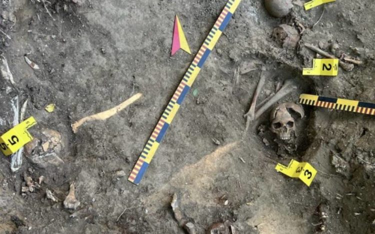 В селі на Тернопільщині виявили масове поховання поляків